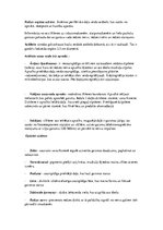 Konspekts 'Sejas un mutes anatomijas konspekts', 11.