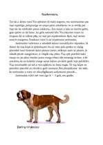 Referāts 'Suņi', 1.