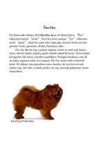 Referāts 'Suņi', 5.