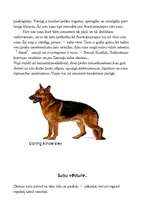 Referāts 'Suņi', 13.