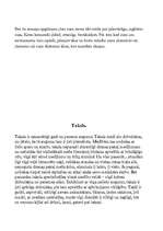 Referāts 'Suņi', 21.