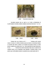 Diplomdarbs 'Ražošanas ūdens attīrīšanas pilnveides projekts', 45.