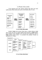 Referāts 'Uzņēmuma SIA "Mc" mārketinga vides un situācijas analīze', 28.