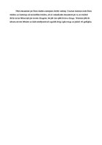 Konspekts 'Starptautiskās reklāmas veidošanas īpatnības', 5.