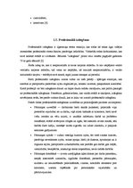 Eseja 'Darba stresi un to pārvarēšana', 10.