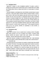 Referāts 'Psiholoģiskā vardarbība ģimenes kopdzīves sākumposmā', 16.