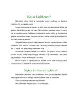 Referāts 'Izlase par Lieldienām', 3.