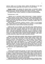 Diplomdarbs 'Mārketinga plāns', 5.