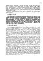 Diplomdarbs 'Mārketinga plāns', 6.