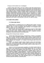 Diplomdarbs 'Mārketinga plāns', 7.