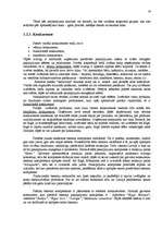 Diplomdarbs 'Mārketinga plāns', 19.