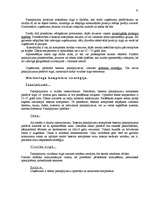 Diplomdarbs 'Mārketinga plāns', 31.