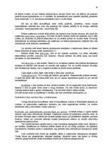 Diplomdarbs 'Mārketinga plāns', 38.