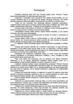 Diplomdarbs 'Mārketinga plāns', 47.