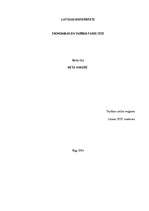 Referāts 'Meta analīze', 1.