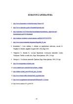 Referāts 'Hipotēka', 30.