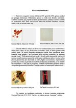 Konspekts 'Supremātisms', 2.