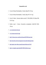 Konspekts 'Supremātisms', 7.