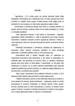 Referāts 'Mārketinga komunikāciju sistēmas vadīšana uzņēmumā', 3.