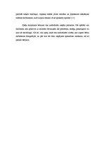 Referāts 'Sporta pēcpusdienas plānojums 1. - 2.klases skolēniem', 6.