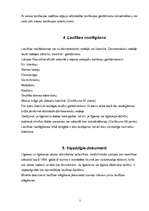 Referāts 'Laulību noslēgšana un izsludināšana', 5.