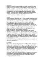 Referāts 'Interjera veidošanas paņēmieni', 2.