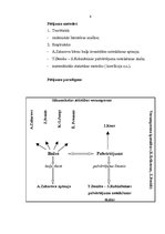 Diplomdarbs 'Baiļu skaita un pašvērtējuma mijsakarība sākumskolas skolēniem', 6.