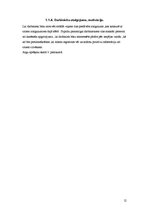 Biznesa plāns 'Biznesa plāns SIA "Retro"', 12.