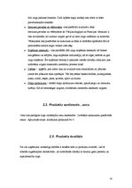 Biznesa plāns 'Biznesa plāns SIA "Retro"', 14.