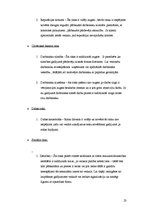 Biznesa plāns 'Biznesa plāns SIA "Retro"', 23.