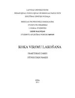 Referāts 'Koka virsmu lakošana', 1.