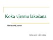 Referāts 'Koka virsmu lakošana', 25.