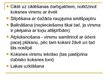 Referāts 'Koka virsmu lakošana', 32.