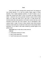 Referāts '"No" teātris', 3.