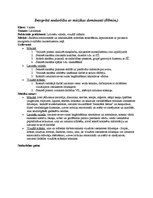 Konspekts 'Integrētā nodarbība ar mūzikas dominanti 3.klasei "Lieldienas"', 1.