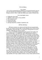 Referāts 'Zivis', 3.