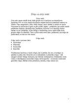 Referāts 'Zivis', 7.