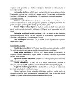 Paraugs 'Finanšu analīzes secinājumi uzņēmumam', 3.