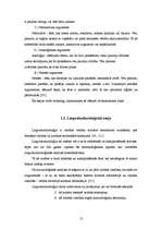 Diplomdarbs 'Lingvokulturoloģiskā eseja literatūras stundās mazākumtautību programmas 11.klas', 12.