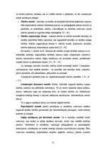 Diplomdarbs 'Lingvokulturoloģiskā eseja literatūras stundās mazākumtautību programmas 11.klas', 22.