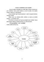 Diplomdarbs 'Lingvokulturoloģiskā eseja literatūras stundās mazākumtautību programmas 11.klas', 33.