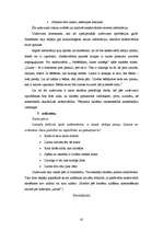 Diplomdarbs 'Lingvokulturoloģiskā eseja literatūras stundās mazākumtautību programmas 11.klas', 45.