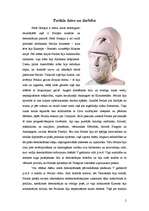 Konspekts 'Perikla dzīve un darbība', 2.