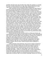 Referāts 'Roma', 10.