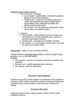 Eseja 'Atpūtas un piedzīvojumu nometne "Četri"', 3.