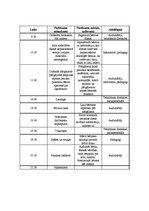 Eseja 'Atpūtas un piedzīvojumu nometne "Četri"', 6.