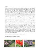 Konspekts 'Divu dienu autobusu tūre «Ceļojums, kas piepildīs jūsu dzīvi ar spilgtām krāsām ', 2.