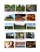 Konspekts 'Divu dienu autobusu tūre «Ceļojums, kas piepildīs jūsu dzīvi ar spilgtām krāsām ', 3.