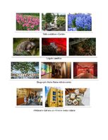 Konspekts 'Divu dienu autobusu tūre «Ceļojums, kas piepildīs jūsu dzīvi ar spilgtām krāsām ', 4.