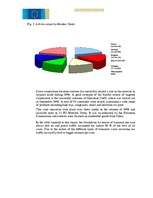 Diplomdarbs 'Latvijas muitā realizējamie pasākumi intelektuālā īpašuma tiesību aizsardzībai', 58.
